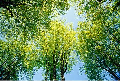 黑暗奇幻冒险《审判官》获CERO Z评级 18岁以上暴力血腥